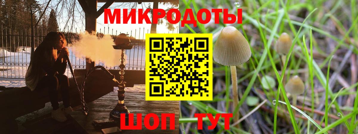 Галлюциногенные грибы ЛСД Усолье-Сибирское
